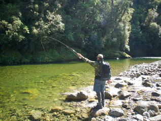 Sage R8 fly rods New Zealand
