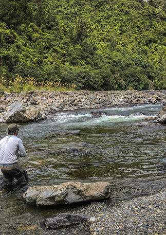 Hutt river fishing