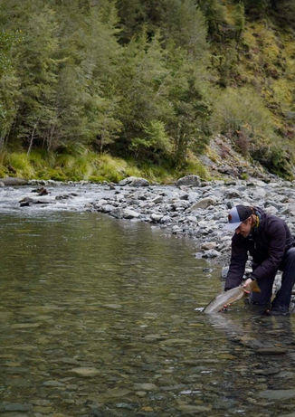 Fish & Game New Zealand