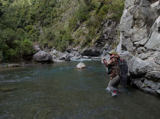 Rangitikei fly fishing