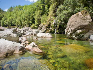 Wilderness fly fishing nNw Zealand