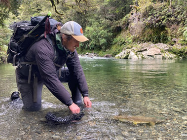 NZ Fishing