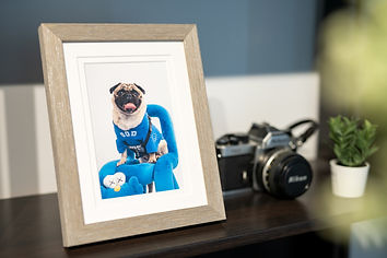 DerpSnap Pet Photography Frame & Print