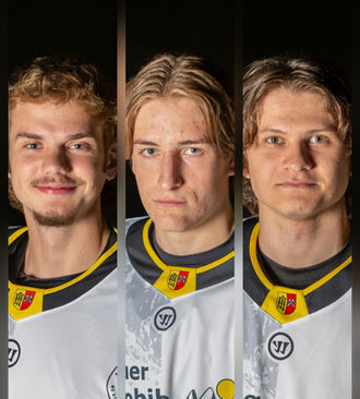 Starkes Bündnis: Sharks und ERC kooperieren weiter