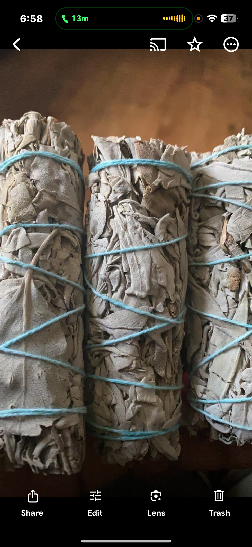 White Sage Smudge Stick