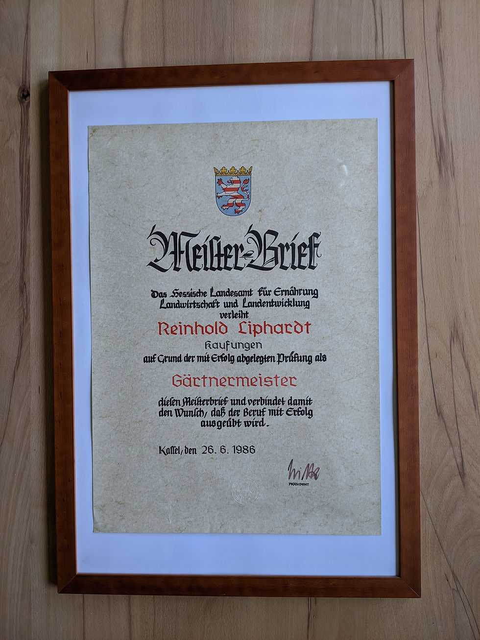 Meisterbrief Reinhold Liphardt