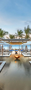 Palm-Seaside-2.jpg