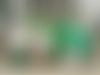 April 24, 2024 - Links Day at the Capitol