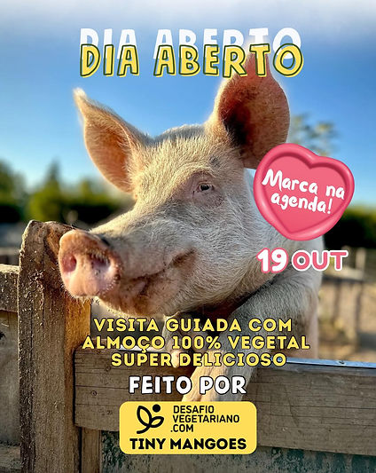 exemplo de cartaz do Dia Aberto