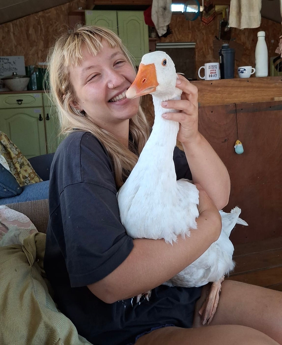 779b68ff-59bb-49be-9f13-5f47133b31d2