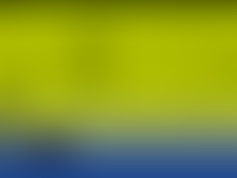 Portal gov.br: serviços disponibilizados pelo acesso único