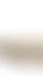 Elevation of Garden Studio in the Green Belt by 2A1M Studio