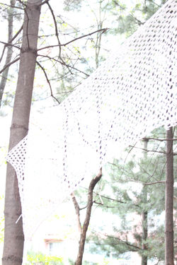 인식의 틀 (Frame)