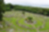 Cemetery with numerous gravestones