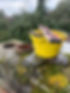 Yellow bucket with tools next to a chimney