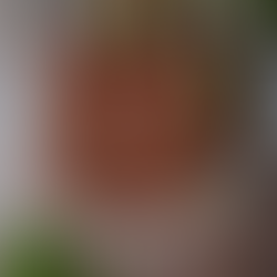 Vegaaninen minttusuklaapiiras