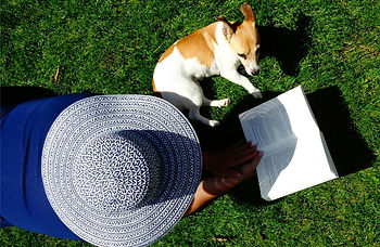 Girl reading a book on the grass