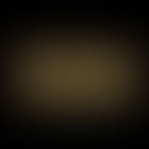 Visions for the New Year