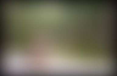 What do we mean by HEALTH??