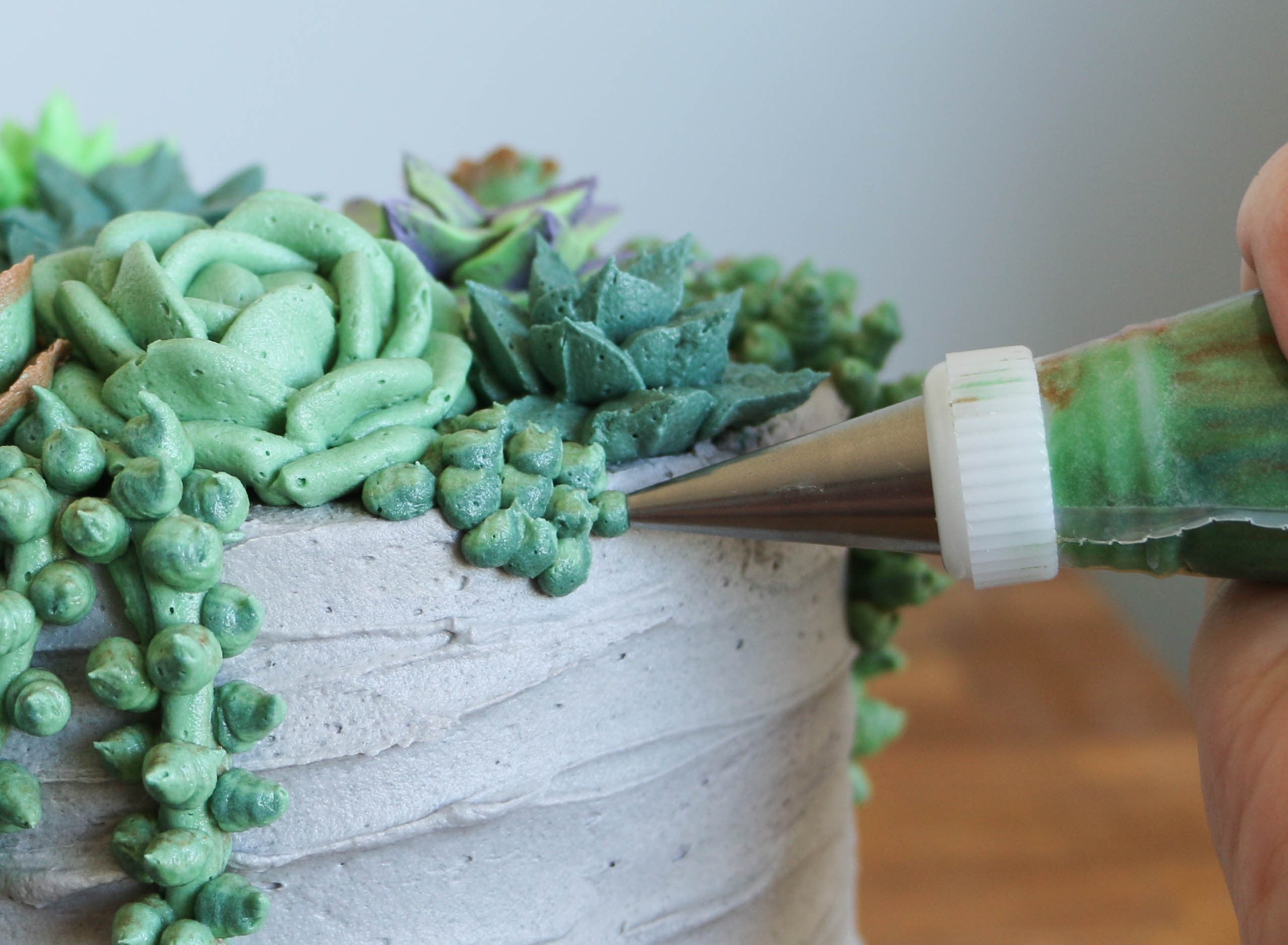 BUTTERCREAM SUCCULENTS