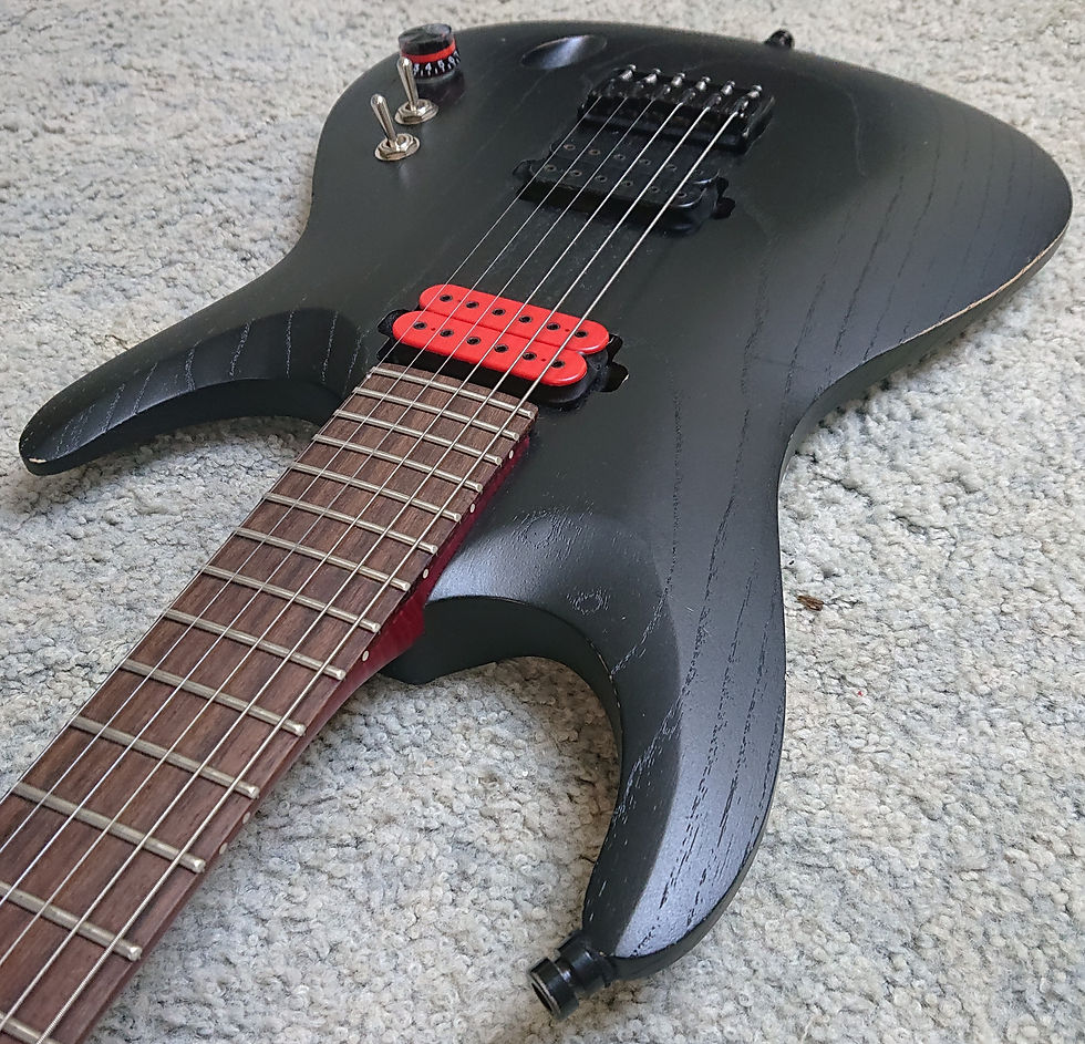 Custom Guitars WSM Guitars