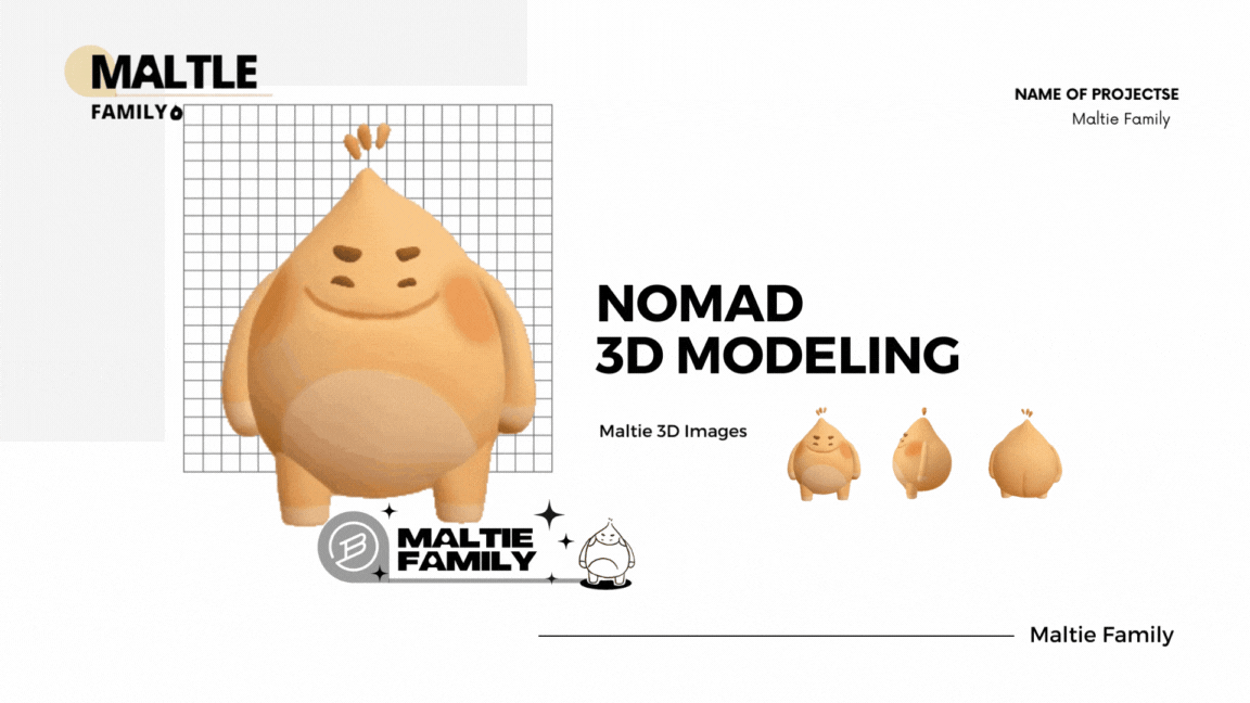 Portfolio plan (3).gif