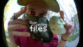 (675) Quarantine files | TDS