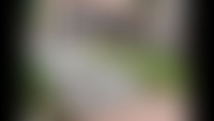 (528) Henkjan Schollaart | 2019