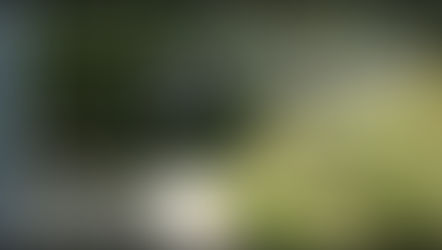 (1059) Sten Magnus | 15.02.99