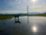 IMG_3523.jpeg