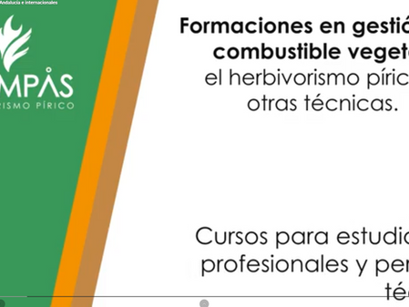 Conoce más acerca del proyecto COMPÁS y sus actividades de formación a través de un ilustrativo video 