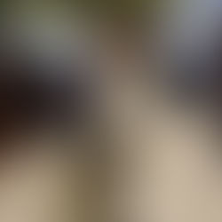 기후재난리포트12 ⑦ 기후질병 | 야생과 인간의 접촉지대, 바이러스가 넘나든다