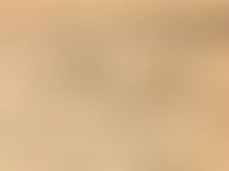 특별기고 |  배재수 | 다른 기념일은 과거를 기념하지만, '식목일'은 미래를 위한 것이다