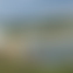 기후재난리포트12 ⑥ 4대강 재자연화 | 기후위기 시대, '보'는 아직 유효한가?