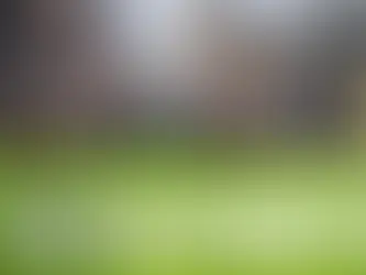 그린피스, 평화적으로 과감하게 '직접 행동'