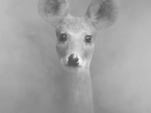 문선희 작가 | 이름보다 오래 된