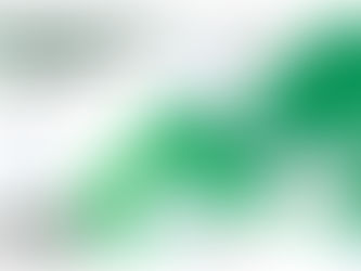 유성만의 기후테크와 주식ㅣ⑤ 숲으로 가는 돈: REDD+와 탄소 비즈니스