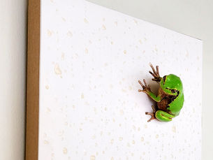 정의동 작가 | 사라져 가는 것은 말이 없다