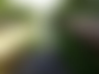 기획 | 기후 재난의 시대, 도시 생태하천을 복원하자