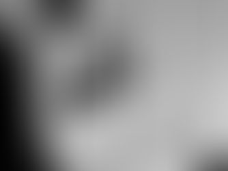 최연우 | 대원외고3학년 | 미래세대가 실제로 영향력을 행사하도록 구조적 틀 있어야