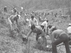 [사설] 220만 산주(山主)를 위한 변명