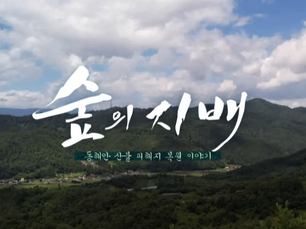 숲의지배 기후언론 MBC강원영동