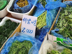 4월에 찾아온 초여름 더위, 봄나물은 열흘 빨리, 과수 꽃은 일주일 먼저…걱정 앞서는 농민들