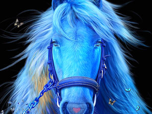 고상우 작가 | 그러므로 나는 동물이다