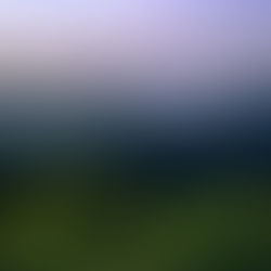 [특별기고] 노종욱 경남연합일보 편집국장 | 더 늦기 전에, '탄소상쇄숲'의 확장을 위해 