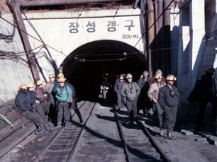 기획 | 강원권, 최대 규모 산림자원이 가져올 탄소중립 시간표