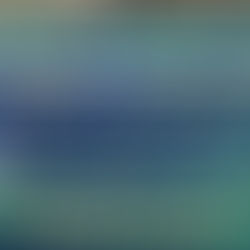 정부와 민관 협력, 2030년까지 26만 그루 심는다