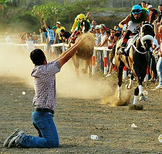 COMPETENCIA_HÍPICA.jpg