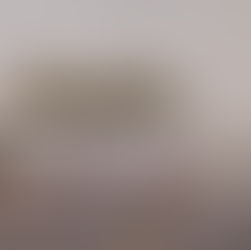 Mamiwata  (2019)
Dragon au sec devant le YCLB 
Aquarelle (58x44cm)