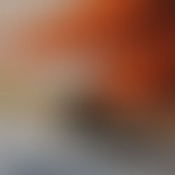 Bateau Pilote Gallois (2000)